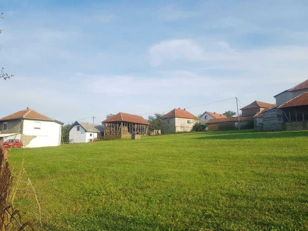 Green Apartments Kursumlija Eksteriør billede